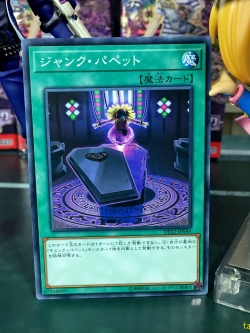 DP22-JP044 Junk Puppet