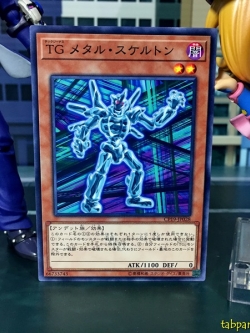 CP19-JP028 T.G. Metal Skeleton