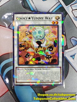 DBJH-AE020 Cooky Yummy Way - NPR