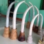 งาช้าง 1เมตร 30 cm