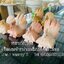 ไก่หินอ่อน