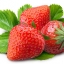 กลิ่นสตรอเบอรี่ ( Strawberry Flavor )