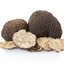 ผงกลิ่นทรัฟเฟิล (Truffle Flavor Powder)