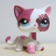LPS-2291 Siamese cat