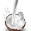 กลิ่นกะทิ ( Coconut Milk Flavor )