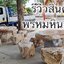 โต๊ะหินอ่อนธรรมชาติ