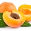ผงกลิ่นแอปริคอท (Apricot Flavor Powder)