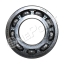 BR11818 BEARING 6206