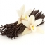 กลิ่นวนิลลา ( Vanilla Flavor )