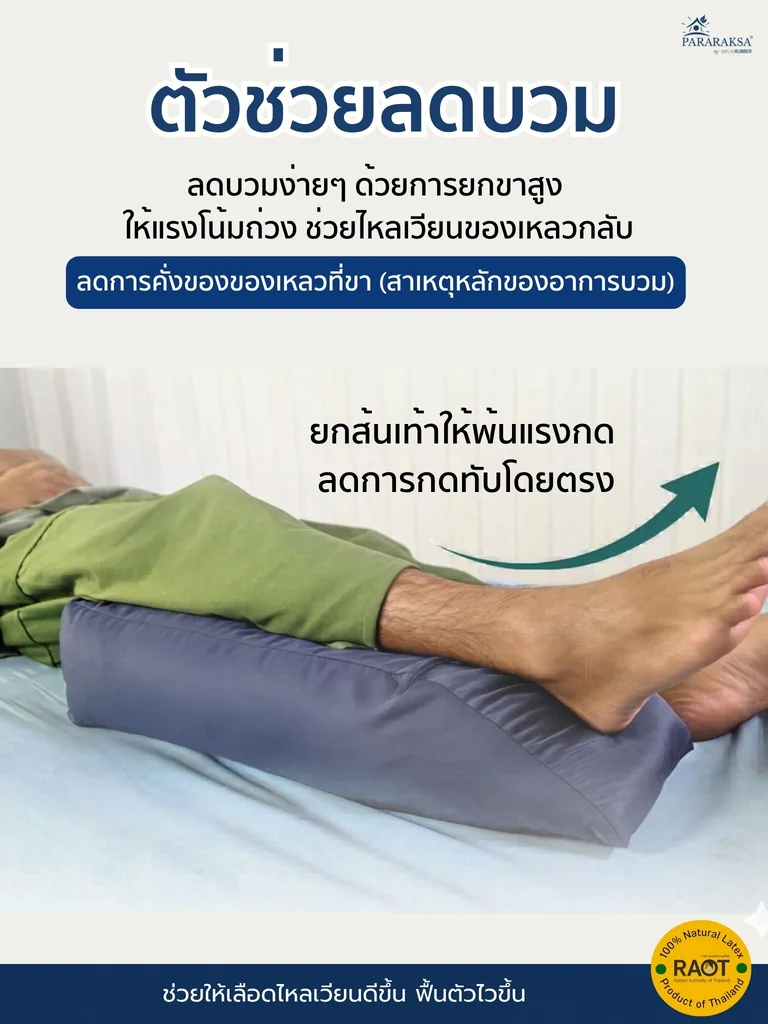 หมอนรองขายกสูง ยางพาราแท้ 100% ลดขาบวม ลดแรงกด รองรับขาเต็มแนว ใช้ได้หลังผ่าตัด/ผู้ป่วยติดเตียง ขนาด 27x60x12 ซม. น้ำหนัก 2 กก. หมอนรองขายกสูง ยางพาราแท้ 100% ลดขาบวม ลดแรงกด รองรับขาเต็มแนว ใช้ได้หลังผ่าตัด/ผู้ป่วยติดเตียง ขนาด 27x60x12 ซม. น้ำหนัก 2 กก.