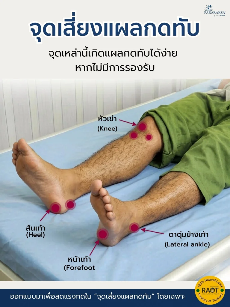หมอนรองขายกสูง ยางพาราแท้ 100% ลดขาบวม ลดแรงกด รองรับขาเต็มแนว ใช้ได้หลังผ่าตัด/ผู้ป่วยติดเตียง ขนาด 27x60x12 ซม. น้ำหนัก 2 กก. หมอนรองขายกสูง ยางพาราแท้ 100% ลดขาบวม ลดแรงกด รองรับขาเต็มแนว ใช้ได้หลังผ่าตัด/ผู้ป่วยติดเตียง ขนาด 27x60x12 ซม. น้ำหนัก 2 กก.
