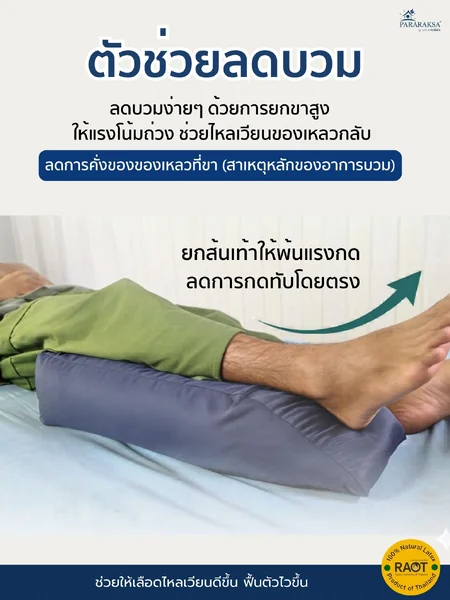 หมอนรองขายกสูง ยางพาราแท้ 100% ลดขาบวม ลดแรงกด รองรับขาเต็มแนว ใช้ได้หลังผ่าตัด/ผู้ป่วยติดเตียง ขนาด 27x60x12 ซม. น้ำหนัก 2 กก. image 2 หมอนรองขายกสูง ยางพาราแท้ 100% ลดขาบวม ลดแรงกด รองรับขาเต็มแนว ใช้ได้หลังผ่าตัด/ผู้ป่วยติดเตียง ขนาด 27x60x12 ซม. น้ำหนัก 2 กก. image 2