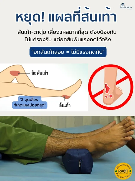 หมอนรองส้นเท้ายางพาราแท้ 100% ป้องกันแผลกดทับส้นเท้า สำหรับผู้ป่วยติดเตียง ผู้สูงอายุ ยกส้นเท้าลอย ลดแรงกด นอนนานไม่เจ็บ ซักได้ ขนาด: 8 x 19 x 9 ซม. น้ำหนัก: ประมาณ 200 กรัม จำนวน: 1 คู่ (ซ้าย/ขวา) image 3 หมอนรองส้นเท้ายางพาราแท้ 100% ป้องกันแผลกดทับส้นเท้า สำหรับผู้ป่วยติดเตียง ผู้สูงอายุ ยกส้นเท้าลอย ลดแรงกด นอนนานไม่เจ็บ ซักได้ ขนาด: 8 x 19 x 9 ซม. น้ำหนัก: ประมาณ 200 กรัม จำนวน: 1 คู่ (ซ้าย/ขวา) image 3