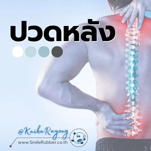 บริษัท สไมล์ รับเบอร์ จำกัด นวัตกรรมยางพาราแท้ 100% มาตรฐาน ISO จากโรงงานระยอง เพื่อสุขภาพและการพักผ่อนที่ยั่งยืน พร้อมบริการรับผลิต OEM เต็มรูปแบบ --- สุขภาพดีด้วยยางพารา --- แบรนด์ "ParaRaksa : พารารักษา" บริษัท สไมล์ รับเบอร์ จำกัด นวัตกรรมยางพาราแท้ 100% มาตรฐาน ISO จากโรงงานระยอง เพื่อสุขภาพและการพักผ่อนที่ยั่งยืน พร้อมบริการรับผลิต OEM เต็มรูปแบบ --- สุขภาพดีด้วยยางพารา --- แบรนด์ "ParaRaksa : พารารักษา"