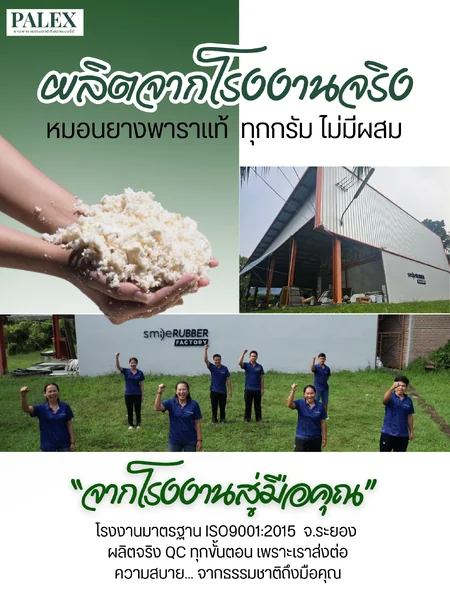 หมอนอเนกประสงค์ยางพาราปั่นแท้ PALEX เซ็ต 4 ใบ ลดปวดเมื่อย ใช้งานอเนกประสงค์ ทั้งกอด พิง นอน หลับสบายขึ้นทันที อายุการใช้งานนานไม่ยุบ ไม่แฟบ image 7 หมอนอเนกประสงค์ยางพาราปั่นแท้ PALEX เซ็ต 4 ใบ ลดปวดเมื่อย ใช้งานอเนกประสงค์ ทั้งกอด พิง นอน หลับสบายขึ้นทันที อายุการใช้งานนานไม่ยุบ ไม่แฟบ image 7