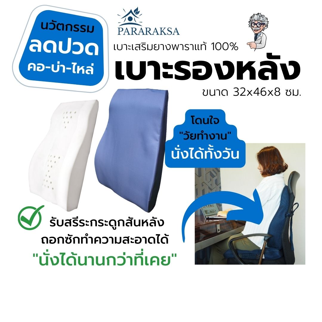เบาะรองหลังยางพารา Pararaksa